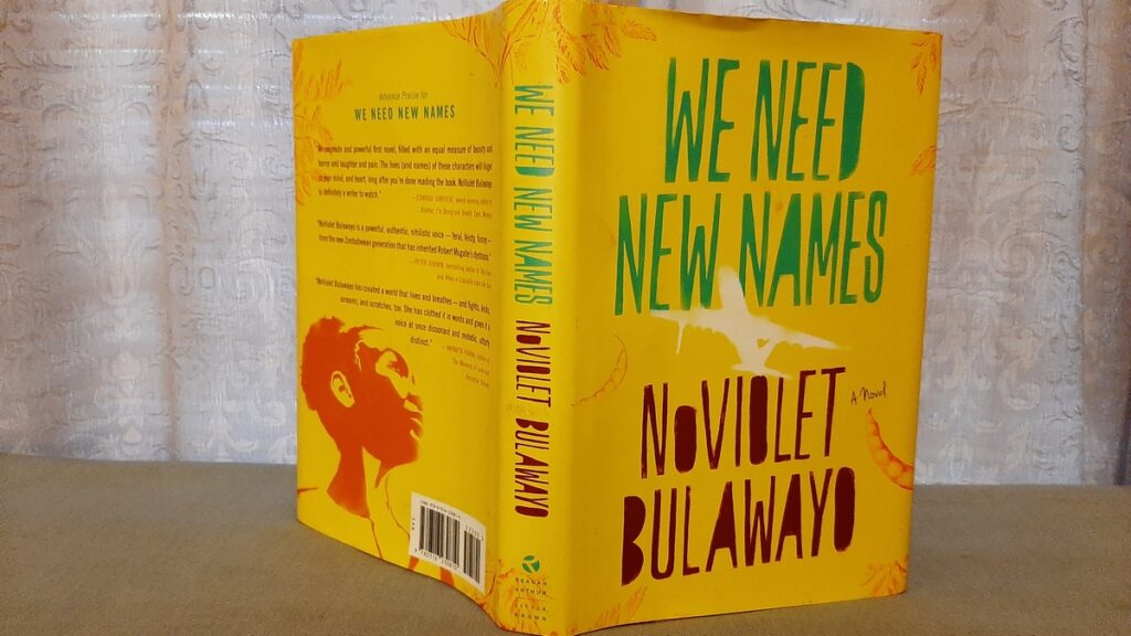 bulawayo we need new names